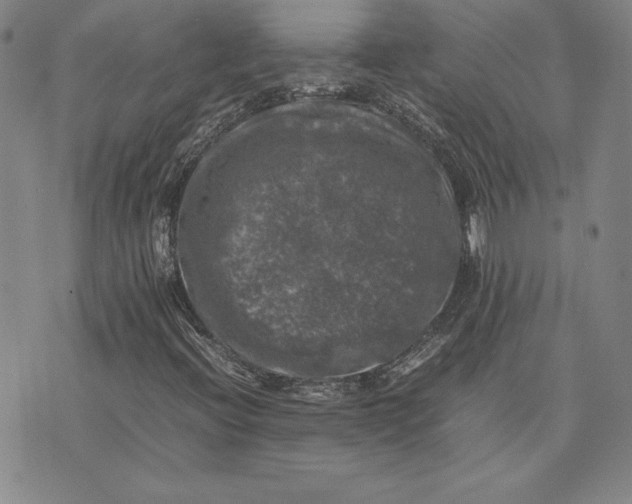 X0000074031396200609111702