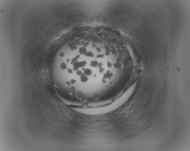 X0000074031398200609111702