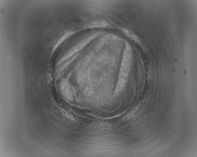 X0000074031400200609111702