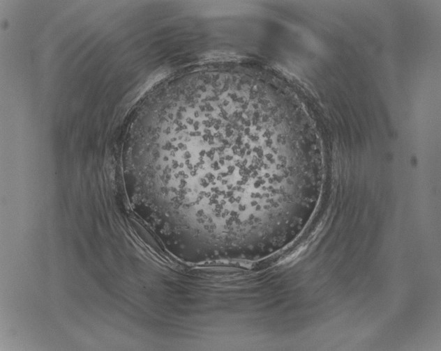 X0000074031401200609111702