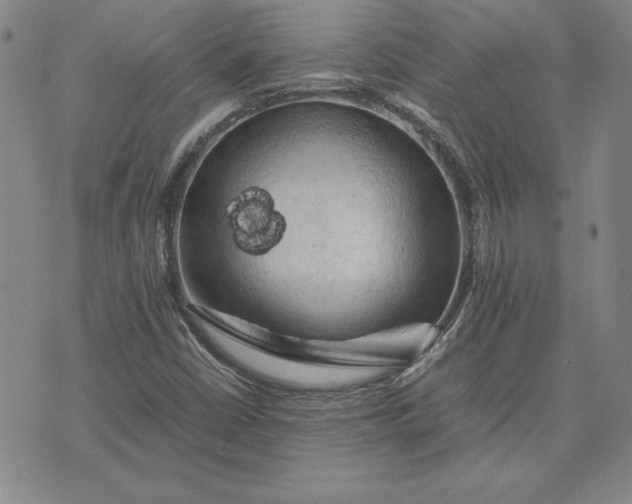 X0000074031402200609111702