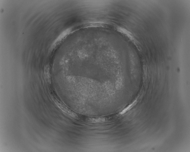 X0000074031403200609111702