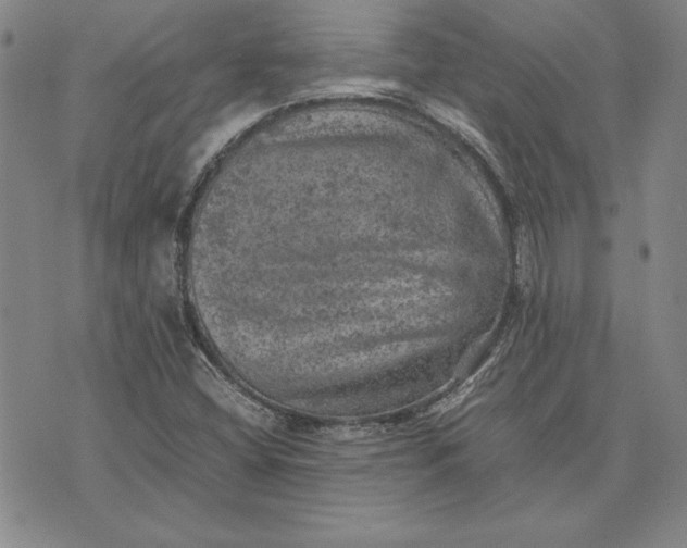 X0000074031404200609111702