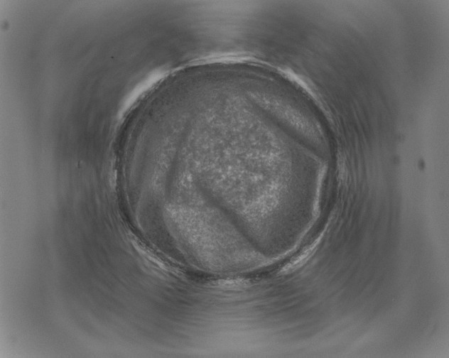 X0000074031406200609111702