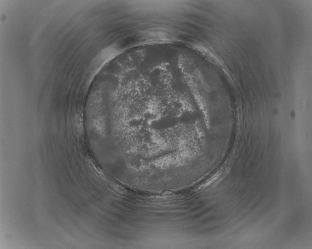 X0000074031409200609111702