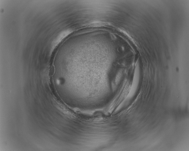 X0000074031410200609111702