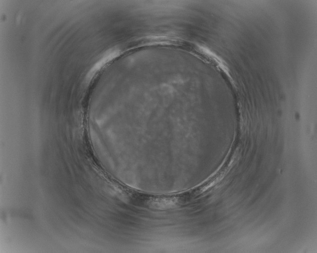 X0000074031411200609111702