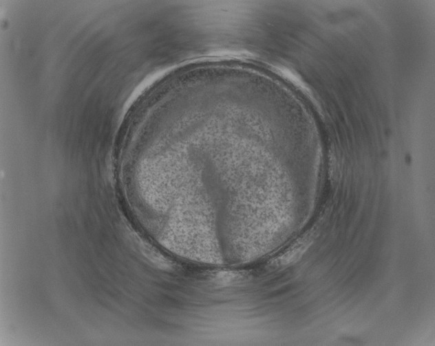 X0000074031412200609111702