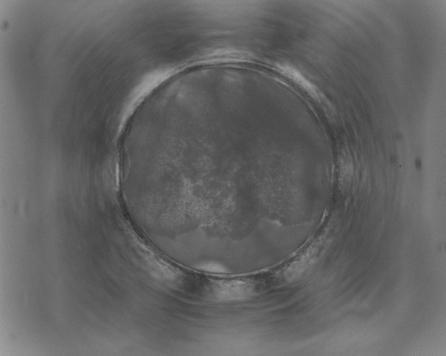 X0000074031413200609111702