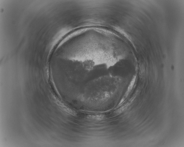 X0000074031415200609111702