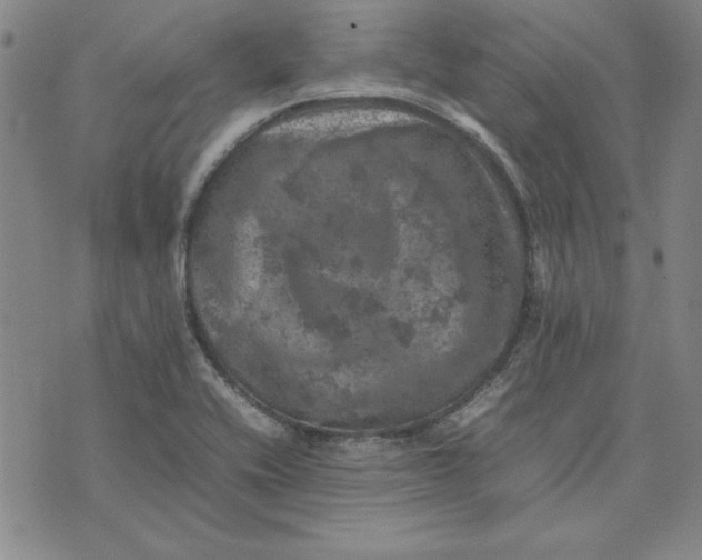 X0000074031416200609111702