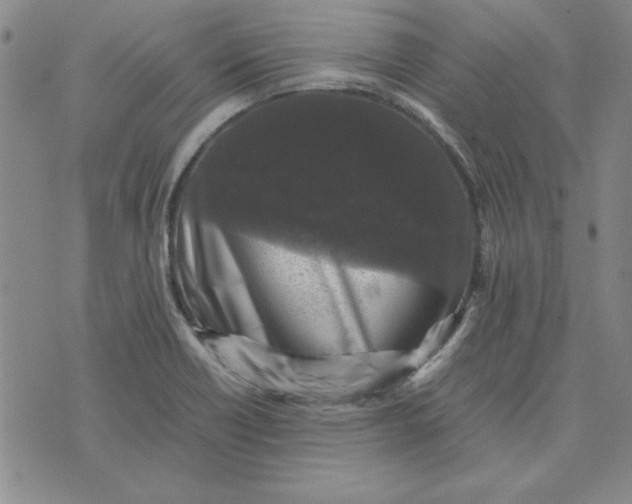 X0000074031418200609111702