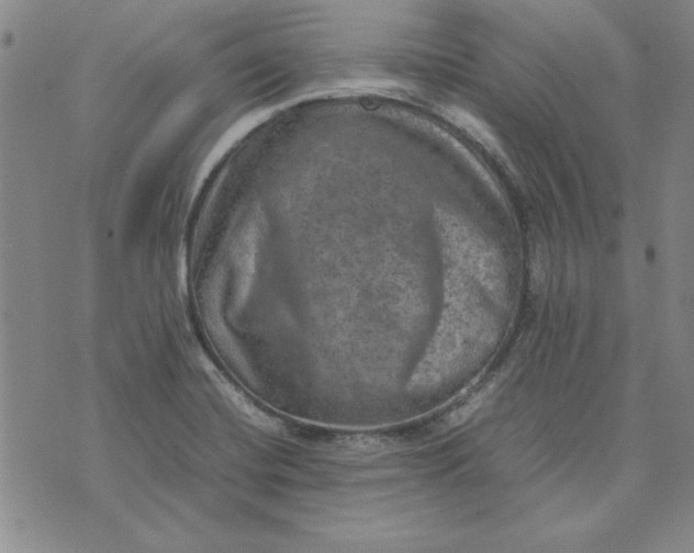 X0000074031420200609111702