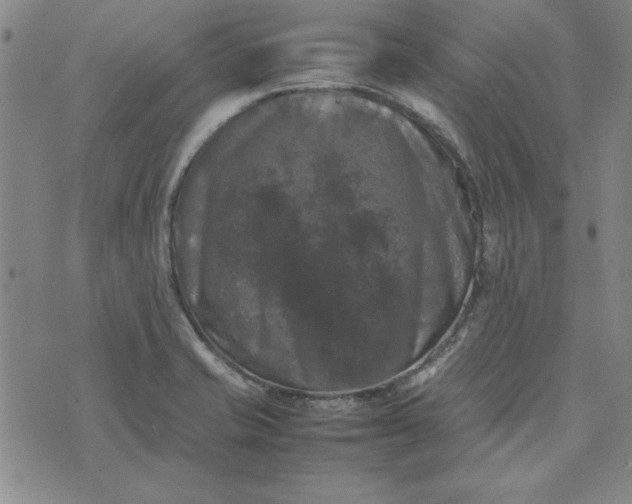 X0000074031421200609111702