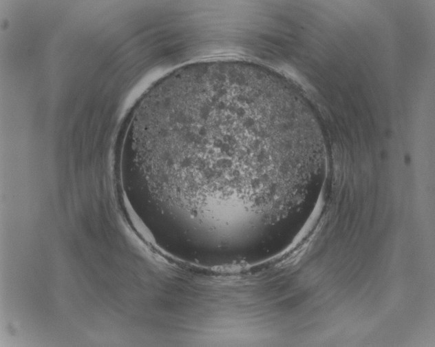 X0000074031422200609111702