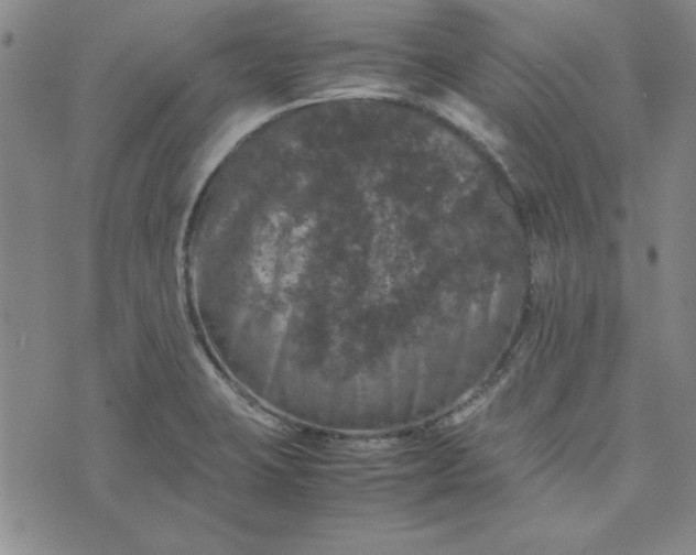 X0000074031423200609111702