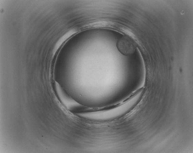 X0000074031426200609111702