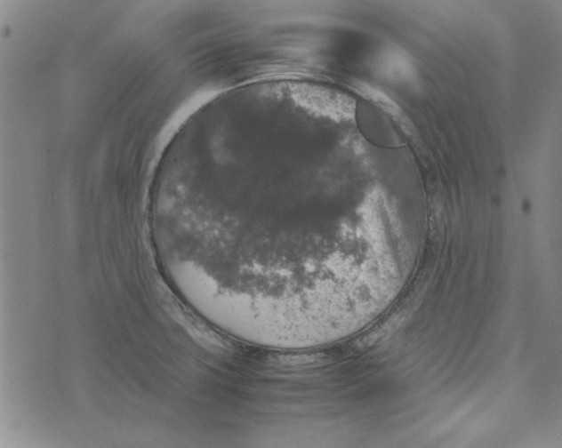 X0000074031427200609111702