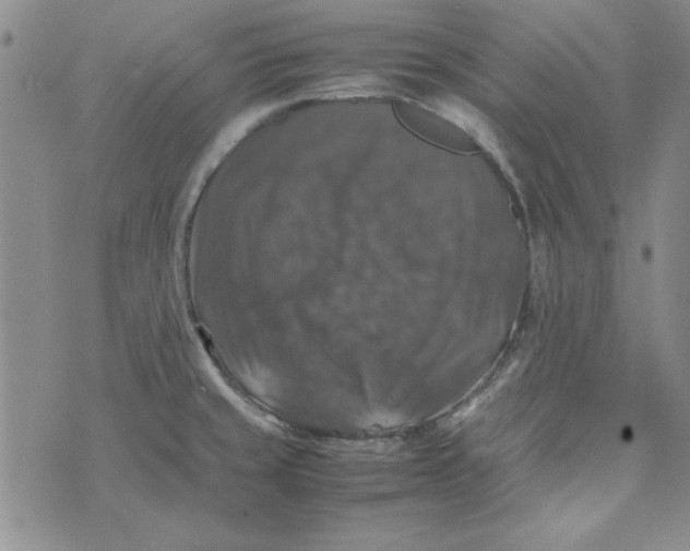 X0000074031429200609111702