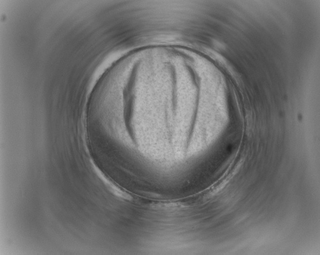 X0000074031432200609111702