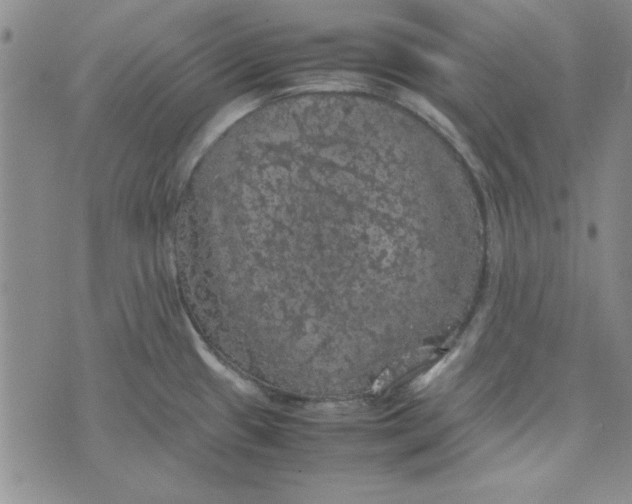 X0000074031433200609111702