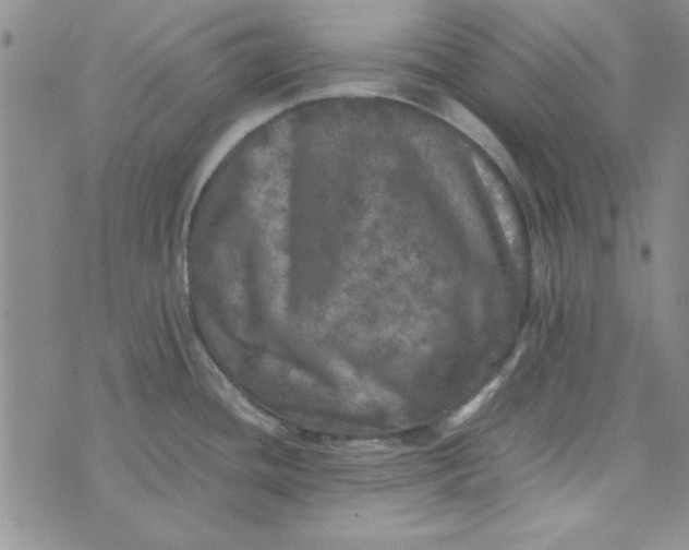 X0000074031436200609111702