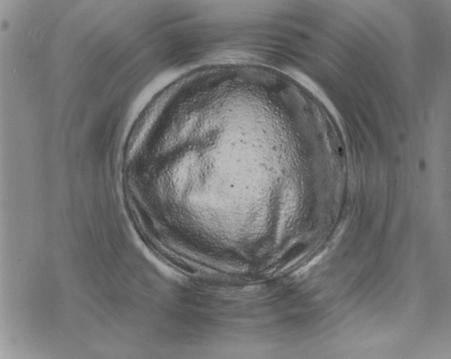 X0000074031437200609111702