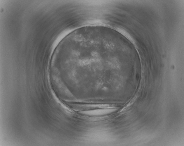 X0000074031440200609111703