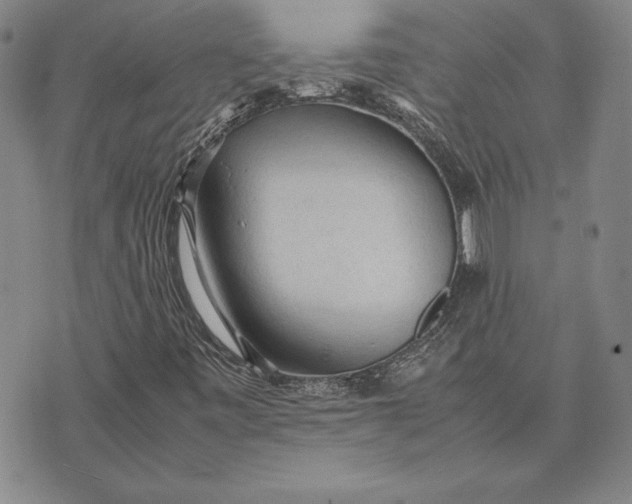 X0000074031443200609111702