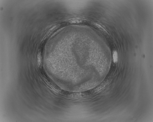 X0000074031444200609111702