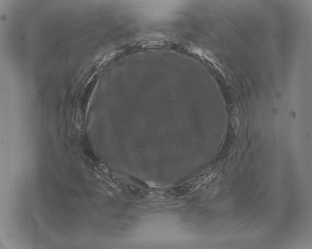 X0000074031445200609111702