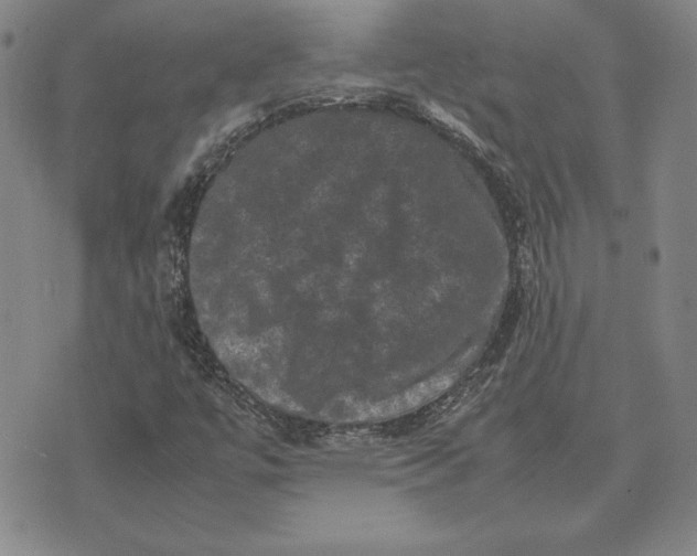 X0000074031447200609111702