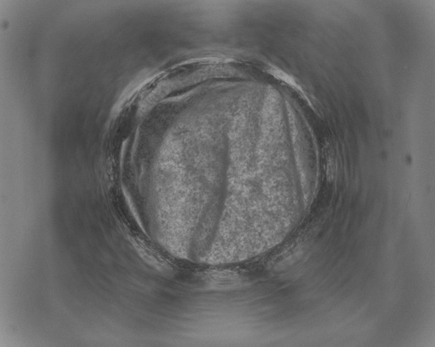 X0000074031448200609111702