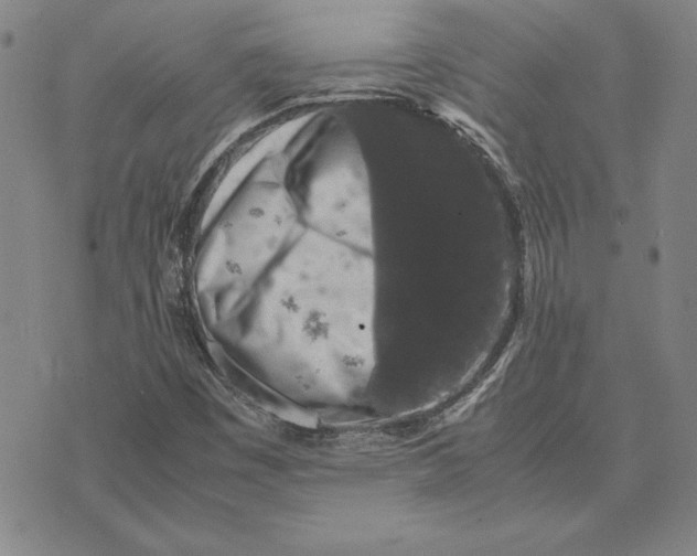 X0000074031449200609111702