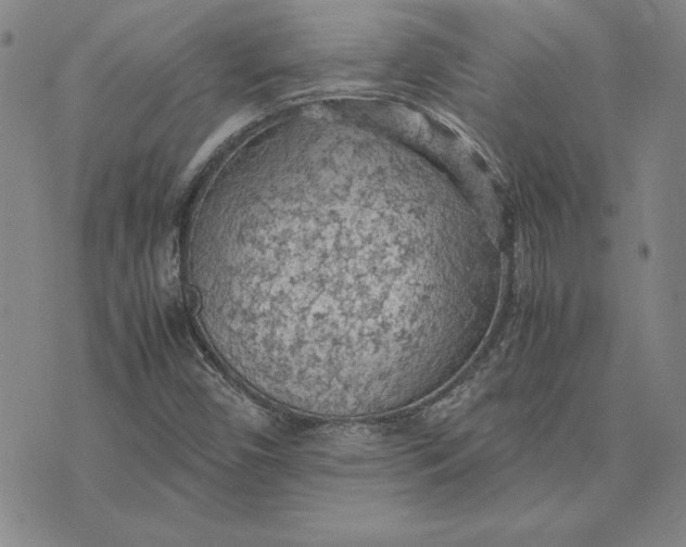 X0000074031450200609111702