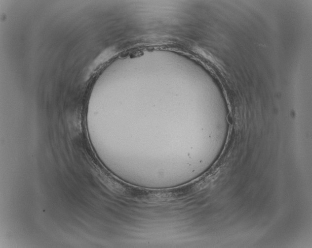 X0000074031451200609111702