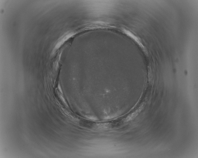 X0000074031453200609111702