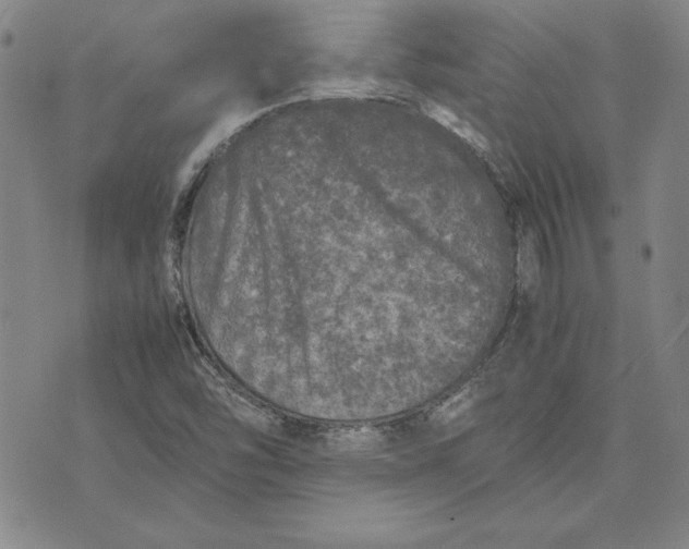 X0000074031454200609111702