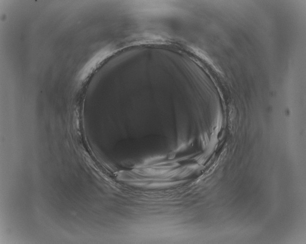 X0000074031455200609111702