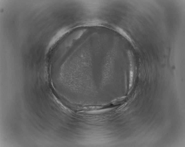 X0000074031456200609111701