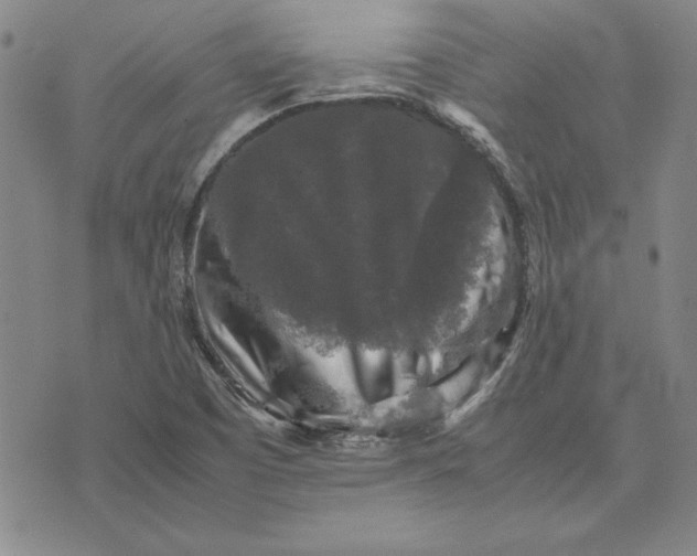 X0000074031457200609111701