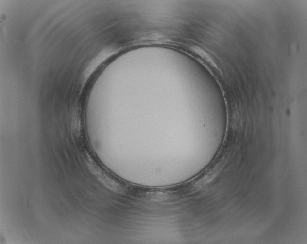 X0000074031458200609111701