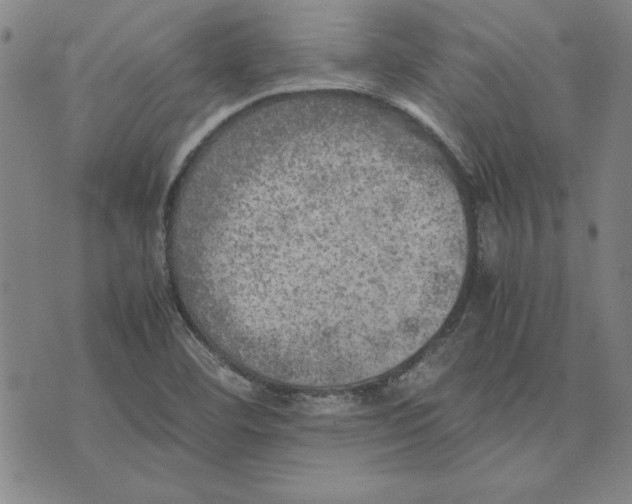 X0000074031460200609111701