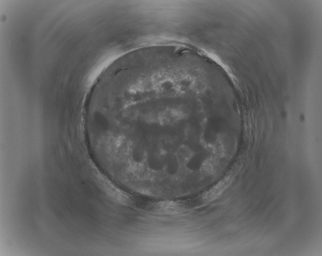 X0000074031463200609111701