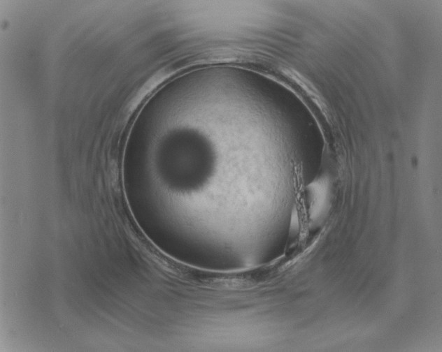 X0000074031465200609111701