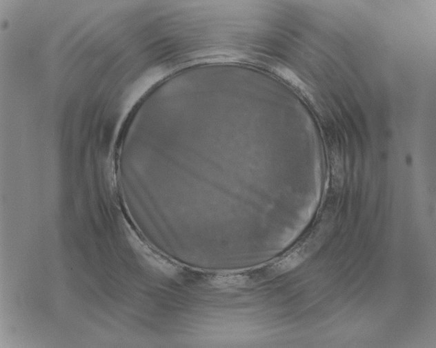 X0000074031466200609111701