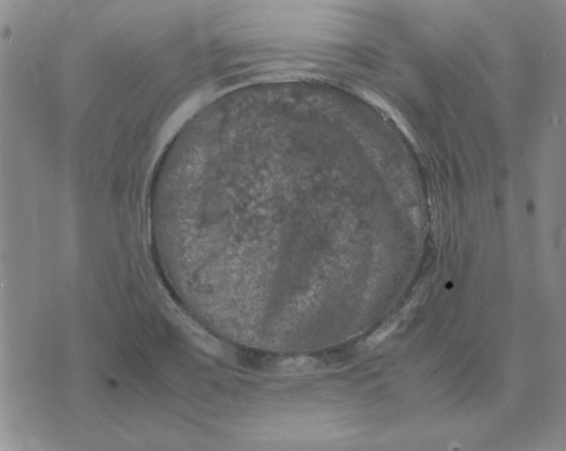 X0000074031467200609111701