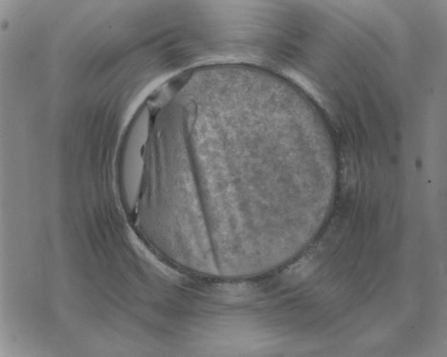 X0000074031468200609111701