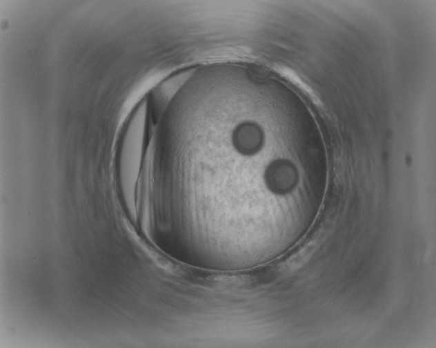 X0000074031469200609111701