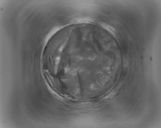 X0000074031471200609111701